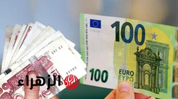 قفزة اليورو مقابل الدينار الجزائري اليوم تُحدد أسعار البيع والشراء في سكوار